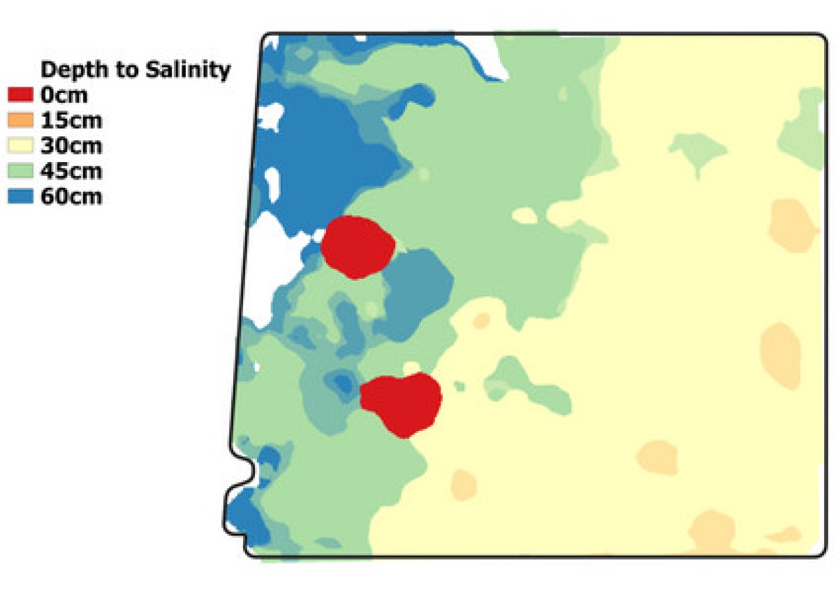 Digital Soil Mapping